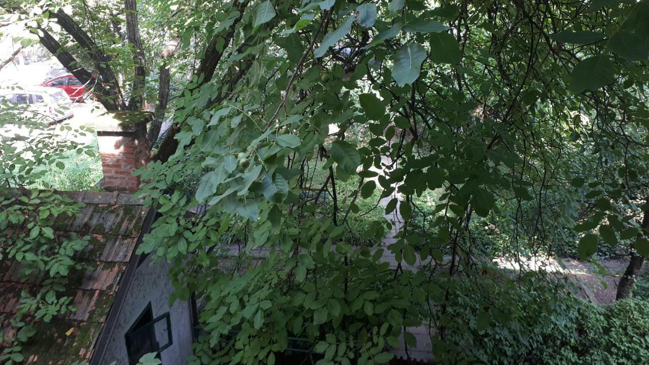 Tabor - Rozmanova Street Guest house